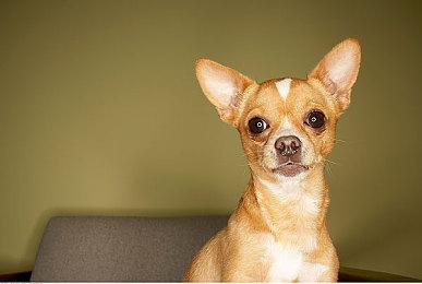 《霓虹序列》迎来首次大版本更新，并推出9折优惠